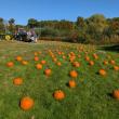 Harvesting Memories: BRVM Harvest Day 2026