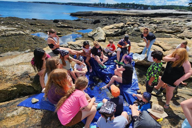 A tidepool lesson on Burnt Island. Courtesy of Elaine Jones
