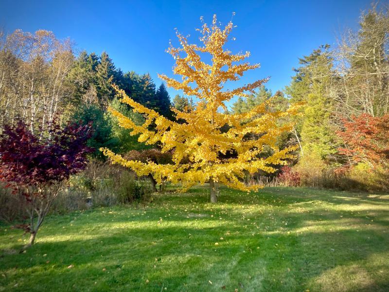 Photo by Robert Mitchell