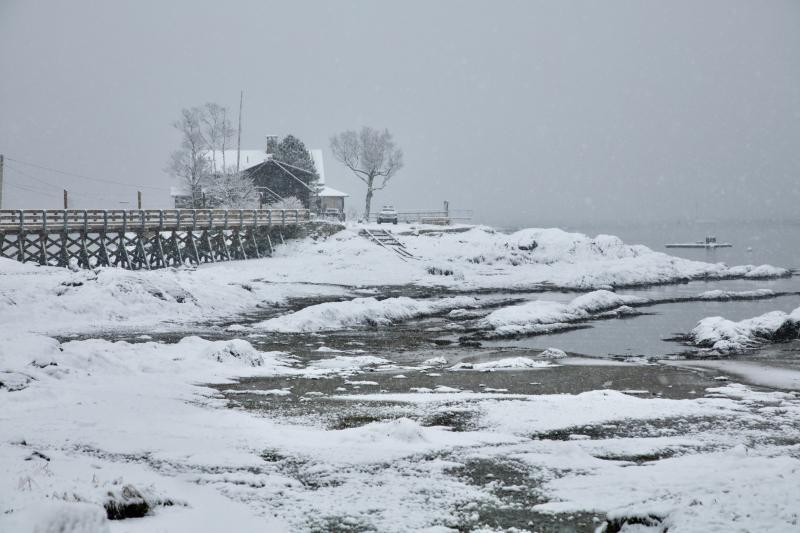 Photo by Robert Mitchell