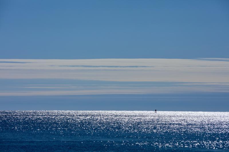 Photo by Robert Mitchell