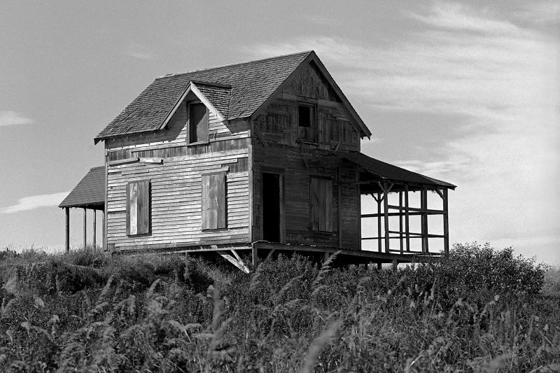 Photo by Robert Mitchell