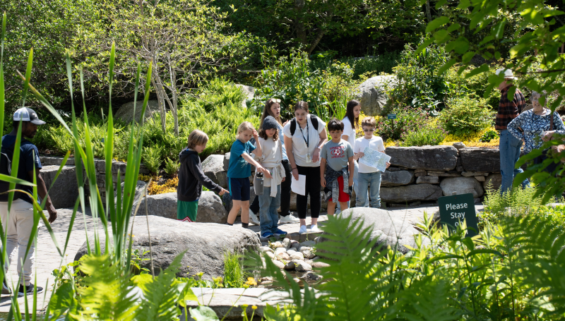 A group enjoying Maine Days in 2025. Image courtesy of Coastal Maine Botanical Gardens