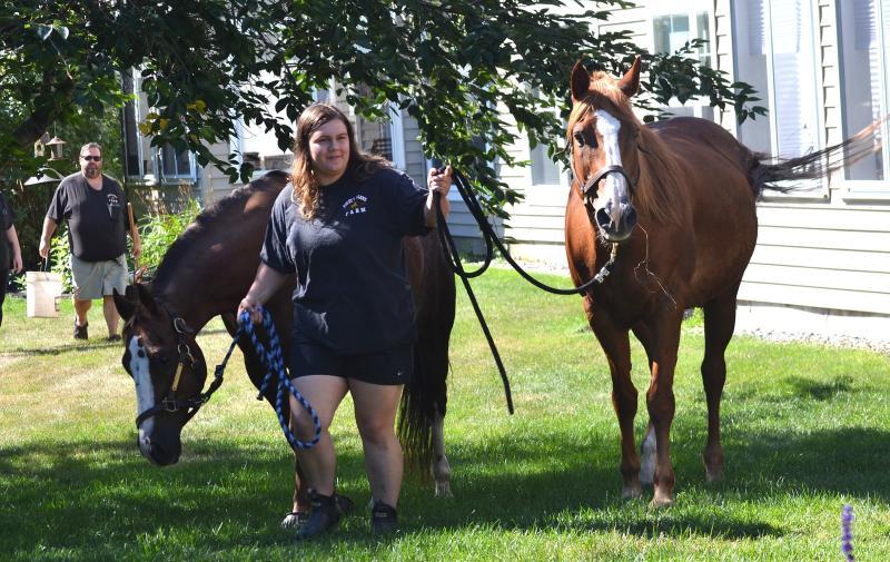 Horses