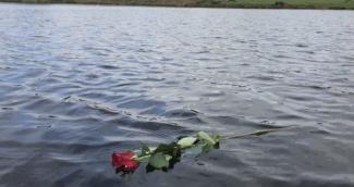 One Rose For Wendy
