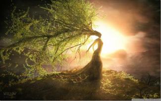 The Willow Woman