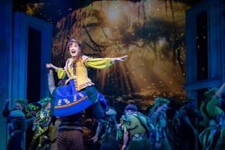 Disney's Frozen, photographed by Jared Morneau Photography.
