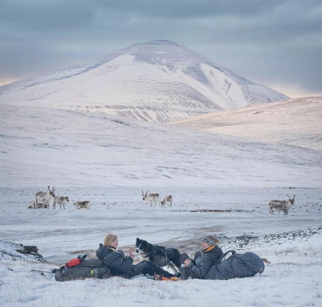 A still from the film “Reindalen,” follows two researchers and their canine sidekick as they study the world’s smallest and fattest reindeer, which are unexpectedly thriving in the fastest-warming place on Earth. Courtesy of Coastal Rivers