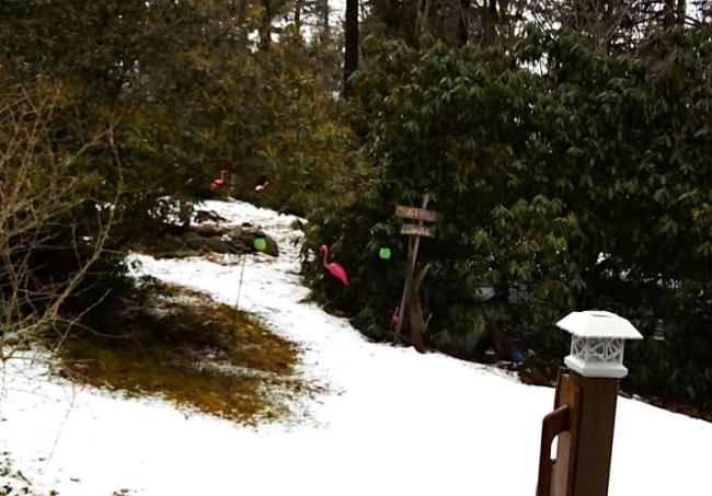 Fredi Flamingo and Francine Flamingo at the Wright residence. Courtesy of Howard Wright Sr.