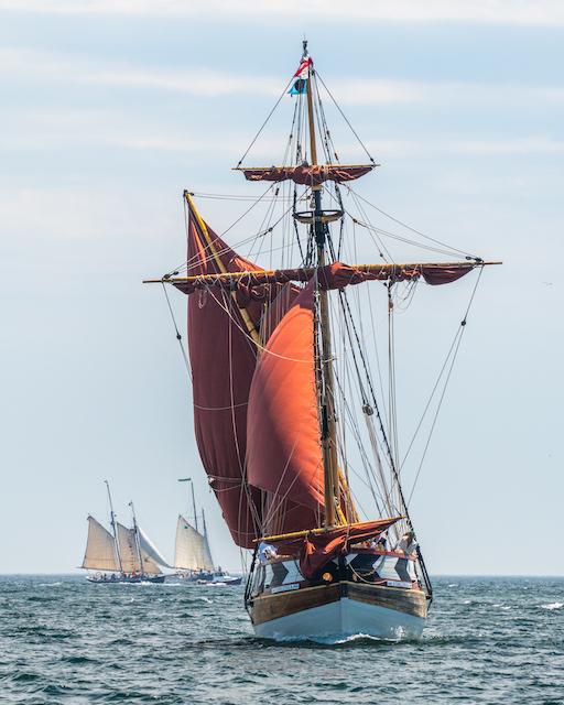 The 64th Boothbay Harbor Windjammer Days sails in Sunday, June 21 through Saturday, June 27. Don't miss it! Courtesy of Friends of Windjammer Days