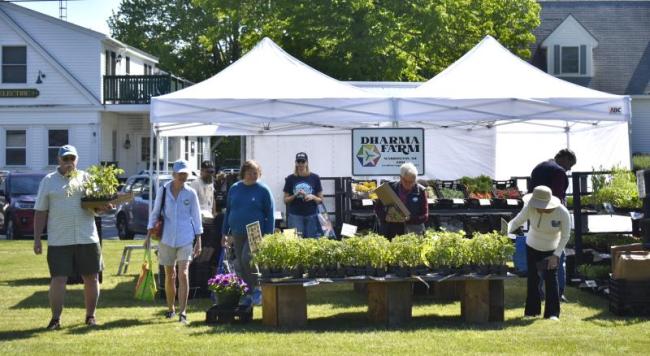 Summer weather greeted shoppers at Boothbay Farmers' Market June 4. ISABELLE CURTIS/Boothbay Register