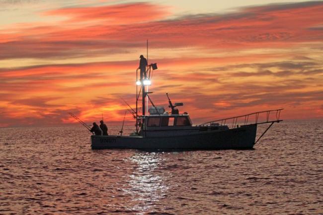 Steve Edwards' front-page tuna fishing scenic in September 2025 took first place in the Weekly category. File photo