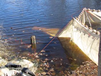 Elver season ended last month, but fishing violations are now being reported and addressed in court.