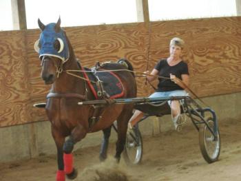Joanne Lewis drives Patty as the two continue training for next month's show in Oklahoma. SUSAN JOHNS/Wiscasset Newspaper