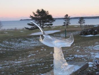 Pierce's Manta Ray ice carving, which won first place awards in Jackson, N.H. KAY STEPHENS/Pen Bay Pilot Pierce's Manta Ray ice carving, which won first place awards in Jackson, N.H. KAY STEPHENS/Pen Bay Pilot