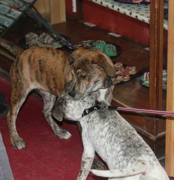 Jemma and Sprinkles