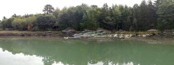 This mock-up depicts where the location of the pier, runway and float will be at Coastal Maine Botanical Gardens if the nonprofit is granted the necessary permits. Courtesy of Bill Cullina