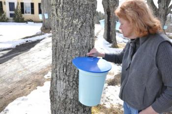 Donna Finch tends to a tap. BEN BULKELEY/Boothbay Register