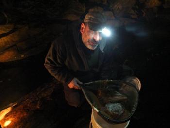 Dan Rizza of Newport displays one night's yield of elver eels caught at Mill Cove in Boothbay Harbor. One pound of elvers is currently worth $1,800. RYAN LEIGHTON/Boothbay Register
