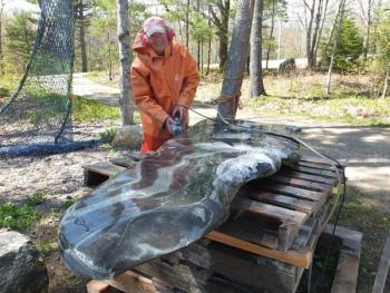 Dick Alden a stone sculptor from Boothbay puts the finishing touches on the Taliana memory bench before it gets installed at the Whale Park in Boothbay Harbor on May 30. RYAN LEIGHTON/Boothbay Register