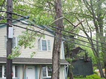A tree branch snagged in the power lines caused power outages and closed Oak Street in Boothbay Harbor on June 11. RYAN LEIGHTON/Boothbay Register