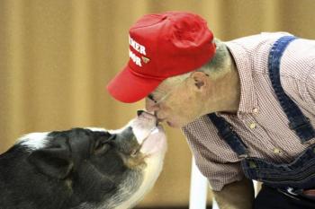 Daisy the Pig and Farmer Minor will be at the Fair as escorts and to meet and greet at the ninth annual Books in Boothbay: Maine’s Summer Book Fair. Photo courtesy of BHML