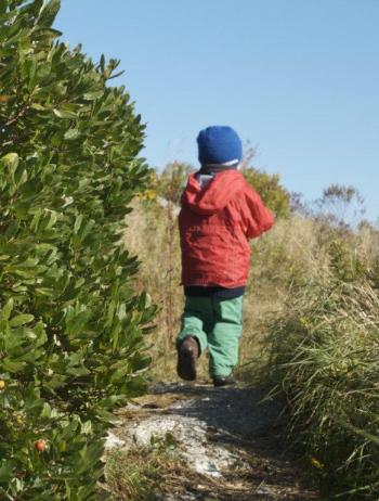 A young boy explores Damariscove Island, one of BRLT’s 22 preserves. Over 30 miles of hiking trails are available throughout the region. The land trust is raising money to sustain its hiking trails, boat access/working waterfront, and year-round education program. Courtesy of the Boothbay Region Land Trust A young boy explores Damariscove Island, one of BRLT’s 22 preserves. Over 30 miles of hiking trails are available throughout the region. The land trust is raising money to sustain its hiking trails, boat access/working waterfront, and year-round education program. Courtesy of the Boothbay Region Land Trust