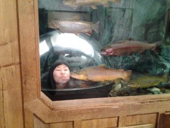 A visit to the famous salmon tank in L.L.Bean in Freeport. Courtesy of Greg Singer