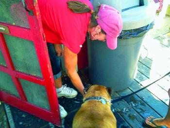 Debbie Gagnon has a soft spot for dogs. Here she provides water with ice to a dog on a hot day. SUZI THAYER/Wiscasset Newspaper Debbie Gagnon has a soft spot for dogs. Here she provides water with ice to a dog on a hot day. SUZI THAYER/Wiscasset Newspaper