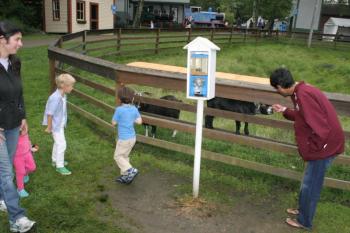 Greeting the Village goats. KEVIN BURNHAM/Boothbay Register