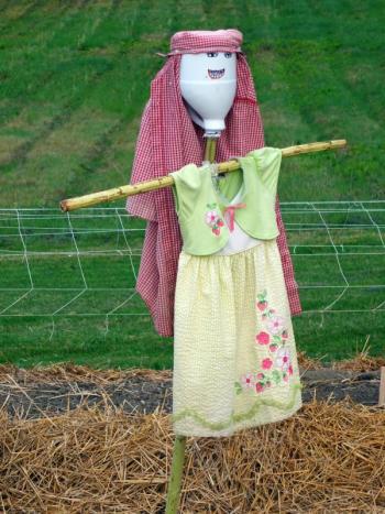One of the scarecrows in the garden. GARY DOW/Boothbay Register