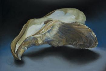Oyster Shell, the J.A. Clark, PEI, CA, by Carol Abitabilo Ast