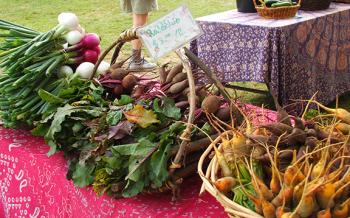 Some of the fresh local vegetables at the Boothbay Farmers Market. SUZI THAYER/Boothbay Register
