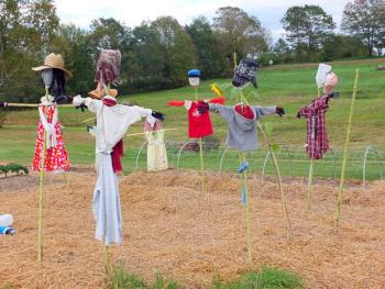 Scarecrows protect the Eddy School Garden. GARY DOW/Boothbay Register