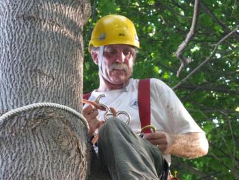 Thomas Hoerth, the City of Bath’s arborist and tree warden.