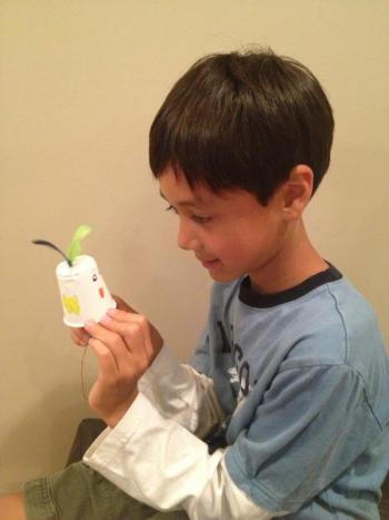 Gavin Albert made his own “Clucking Chicken” to learn about sound vibrations and sounding boards. Courtesy of Seeds of Knowledge