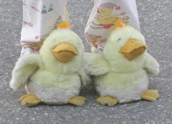 A 2012 Early Bird Sale standout ... matching duck slippers. KEVIN BURNHAM/Boothbay Register