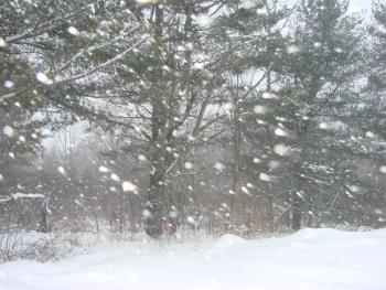 snow blowing snow snowstorm Alna Maine