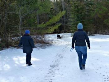 Stockwell, right, and Hall, left, follow Ella and Cedar on a snow-covered path at Penny Lake. KATRINA CLARK/Boothbay Register