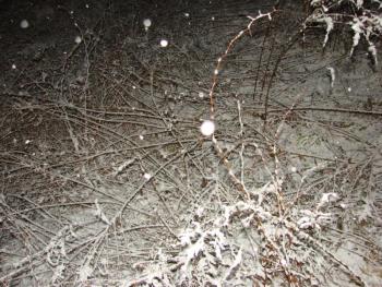 snow Alna