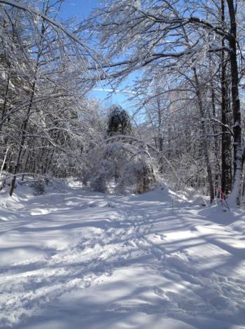 Photo of ski trail at HIdden Valley Nature Center