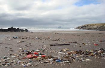 trash on the beaches of Ireland. (Photo courtesy Rosemary Hill)