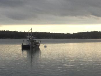 maine lobster lobsterboat
