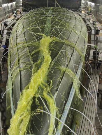 Resembling a scene from an alien sci-fi movie, this is actually the carbon infused hull of Hodgdon Yachts’ secret weapon. Using advanced composite fibers and vacuum wraps, Hodgdon Yachts aims to smash records with the fastest yacht it has ever built. Courtesy of Onne van der Wal