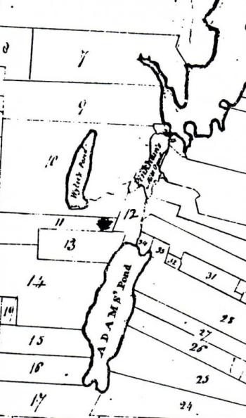This 1815 map section shows lot #12, sold by John Farnham to the Adamses in 1769. It controlled the waterway on its right side, draining Adams Pond to the north. As many as three mills and dams were along it. Pinkhams Millpond above it was created and bulged in size when impounded by another dam in Ovens Mouth River. The Adams shipyard was just north of the upper dam on the east side I believe. Farther above on that side was their shipbuilding site down on the river at presently Shore Hills or Joan Rittall's, across from Miss Piggy. Courtesy of Boothbay Region Historical Society