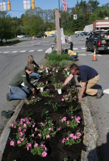 Coastal Maine Botanical Garden employees help East Boothbay Landscaping with the beautification of the traffic island on Route 96 on Thursday morning, May 29. KEVIN BURNHAM/Boothbay Register