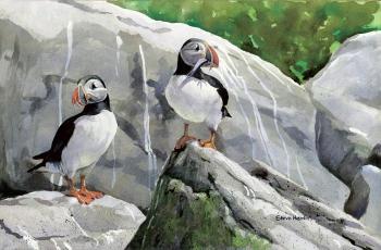 Burrow Sentry, watercolor by Steve Hamlin