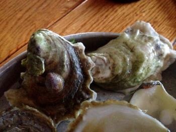 Glidden Point Oyster's Ledges
