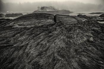 David Wolk photograph