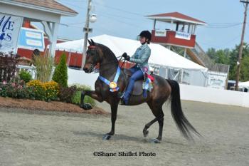 HALI GOODWIN AND HER HORSE CBMF Off The Charts are heading to Morgan Grand National and World Championship Horse Show in Oklahoma City, Okla. The team has already won championships in regional and state competitions this year. Courtesy of Shane Shiflet